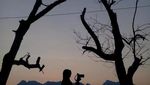 Senja nan Syahdu di Waduk Gunung Rowo Pati