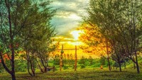 Senja dari Taman Payung yang ada di Pantai Jetis