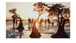 Senja Unik dari Pantai Walakiri Sumba