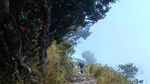 Sensai Mendaki Gunung Lawu Tanpa Bermalam