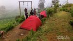 Sensasi Camping Di Kaki Gunung Sumbing, Silancur Highland