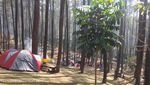 Sensasi Camping di Wana Wisata Batu Kuda Bandung dan Kisah di Baliknya