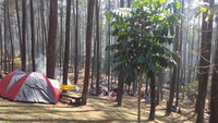 Aea kemah di Wana Wisata Batu Kuda, Bandung cukup luas.