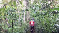 Rute menuju Gilituri