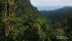 Sensasi Lari di Gunung Gilituri, Magelang