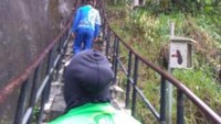 Berjejer merayap di sisi tebing