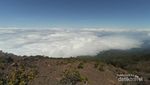 Sensasi Mendaki Gunung Slamet via Jalur Baturaden