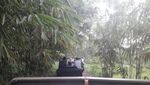 Sensasi Offroad di Lava Tour Merapi