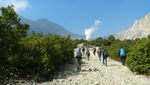 Sensasi Panas Dingin di Gunung Papandayan