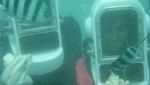 Sensasi Seru Berjalan di Dasar Laut Nusa Dua, Bali