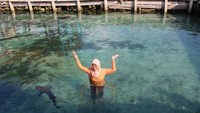 Pose yang benar saat masuk kolam hiu ini adalah tangan jangan menyentuh air dan sebaiknya diangkat ke atas
