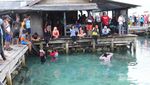 Sensasi Tegang Berenang di Antara Hiu di Karimunjawa