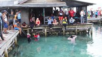 Antusiasme pengunjung di kolam hiu