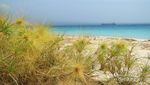 Sensasi Terdampar di Pulau Cantik Tabuhan, Banyuwangi