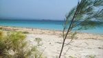 Sensasi Terdampar di Pulau Cantik Tabuhan, Banyuwangi