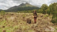 Memandang Batur Mt. Kintamani - Bangli Bali