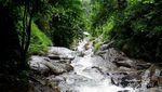 Sensasi Trekking Menuju Coban Rais di Batu