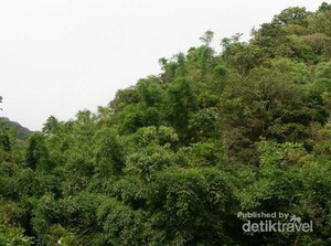 Sensasi Trekking Menuju Coban Rais di Batu