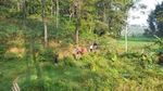 Sentul, Wisata Alam Asri untuk Akhir Pekan