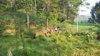 Jalur hiking didominasi oleh pemandangan sawah dan ladang petani. Foto oleh Ullah.