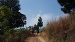 Sentul, Wisata Alam Asri untuk Akhir Pekan