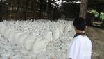 Sepenggal Kisah Penambang Belerang di Gunung Ijen