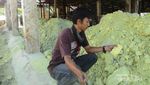 Sepenggal Kisah Penambang Belerang di Gunung Ijen