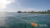 Spot snorkeling yang tak begitu jauh dari ibukota