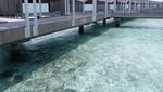 Seperti Ini Vila Bulan Madu Selebriti di Maldives