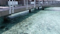 Koridor menuju overwater villa di Club Med Finolhu