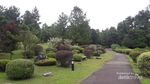 Seperti Jepang, Padahal Singapura