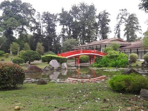 Seperti Jepang, Padahal Singapura