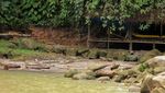 Seperti Pantai & Punya Gua, Ini Air Terjun Unik Tarunggang