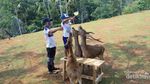 Serang Punya Wisata Agro Keren