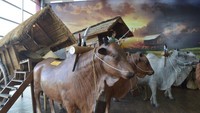 Gerobak tradisional yang masih menggunakan tenaga hewan
