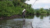 Kawasan rawa tempat berburu popaco
