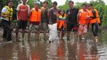 Seru! Berburu Siput Popaco di Maluku Utara