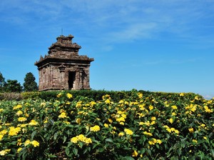 Seru! Berkuda Menyusuri Kompleks Candi Gedong Songo