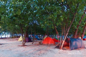 Seru! Camping Ceria di Tepi Pantai
