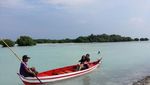 Seru! Keliling Naik Perahu di Hutan Mangrove Pulau Pari