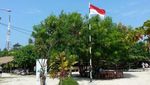 Seru! Keliling Naik Perahu di Hutan Mangrove Pulau Pari