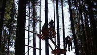 Suasana saat menaiki pohon menuju tenda gantung (Sumber: gizmag.com)