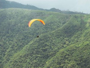 Seru! Main Paralayang dari Gunung Mantantimali di Palu