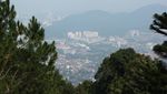 Seru! Naik Kereta ke Puncak Penang Hill