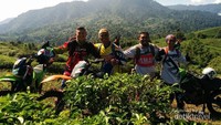 Melewati Kebun Teh Cevron