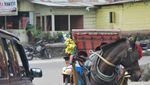 Seru! Wisata Kuda di Berastagi, Sumut