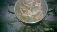 Proses merebus kepiting
