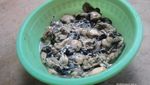 Serunya Berburu Teritip di Pulau Bangka