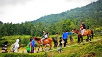 Wisatawan yang mencoba serunya berkuda (rumputliarphotography.blogspot.com)