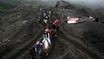 Serunya Berkuda ke Puncak Gunung Bromo